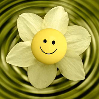 pixabay_bluete_blume_smiley